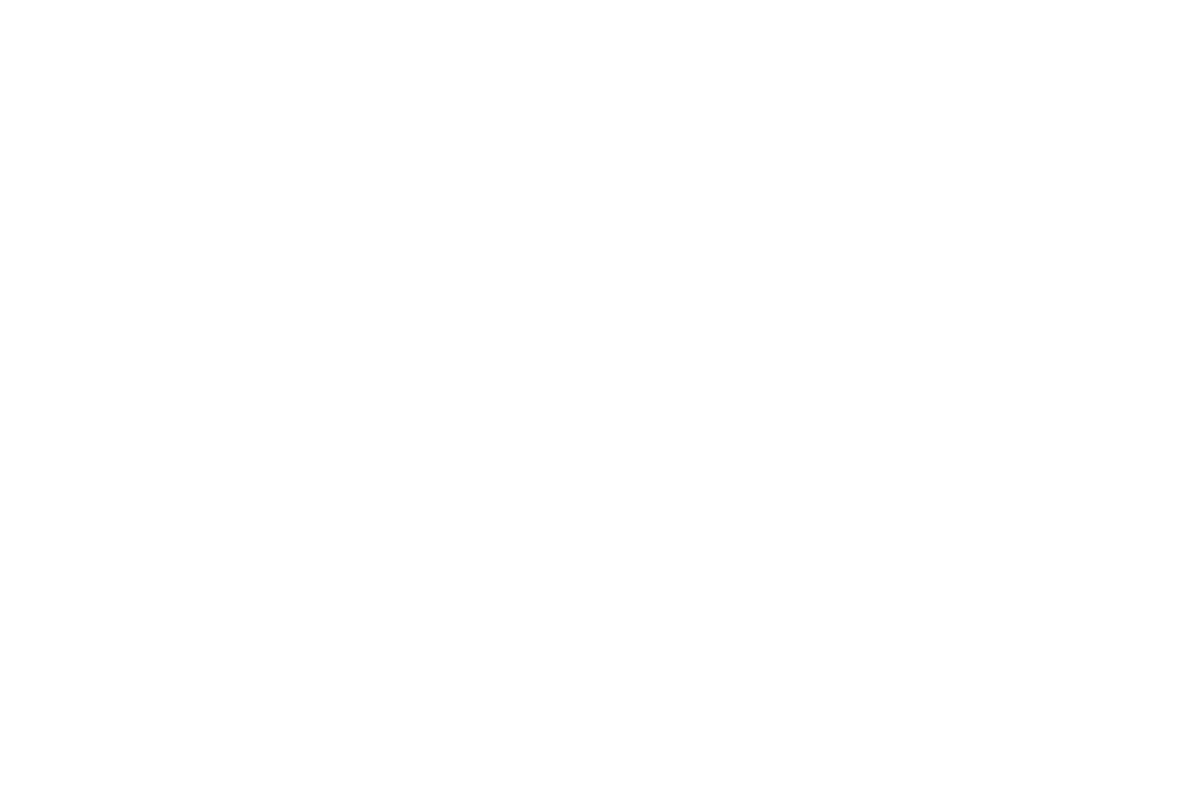 This is Way Out West Spine And Mobility Logo inside the footer of the website